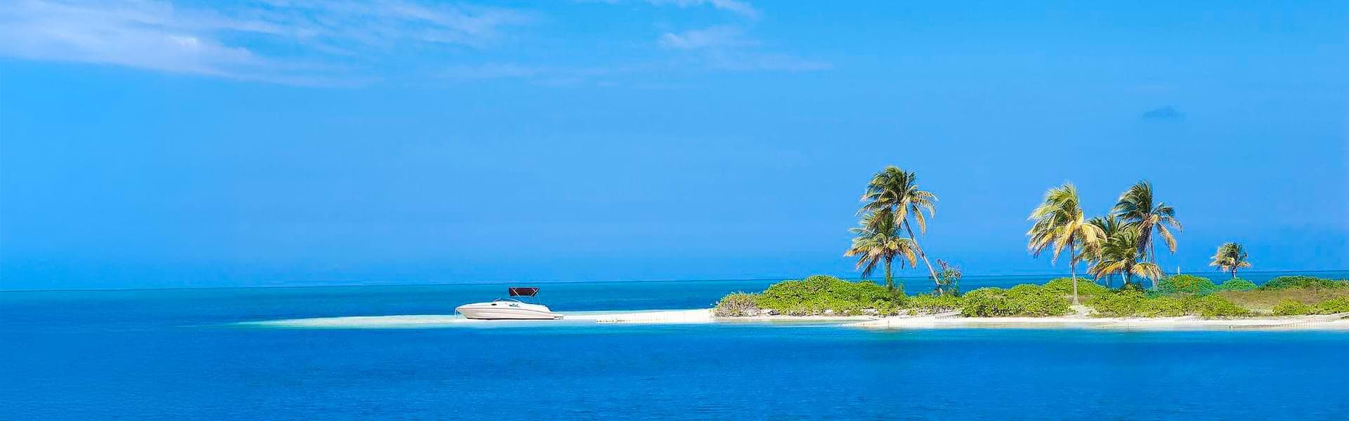 Starfish Point