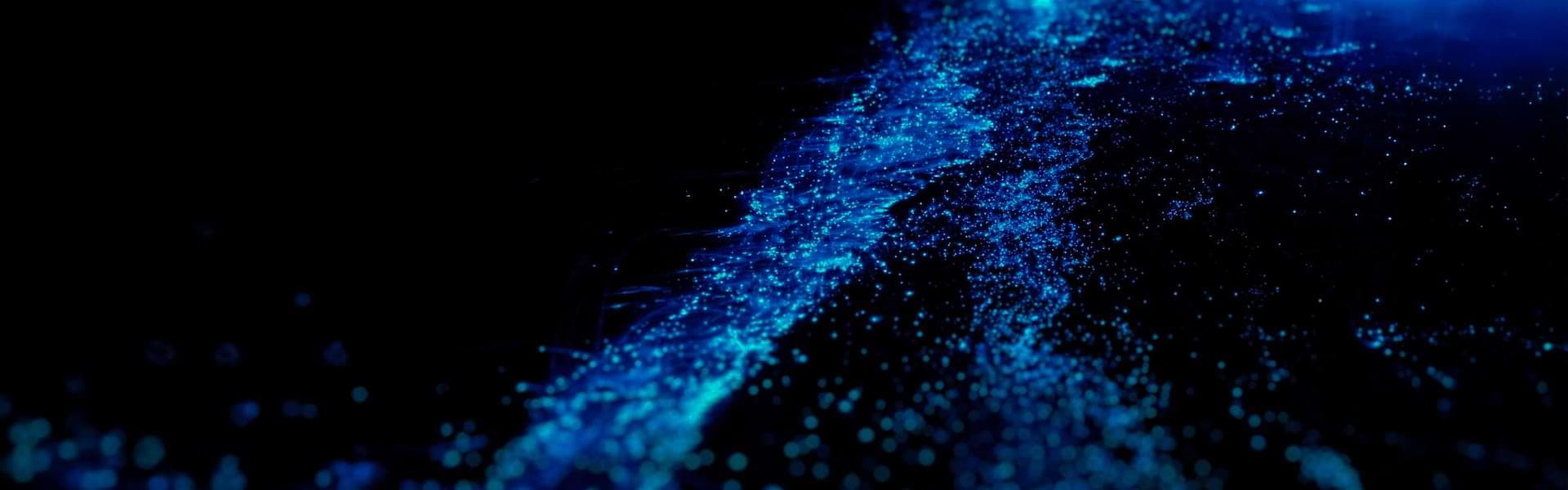 Bioluminescent Bay